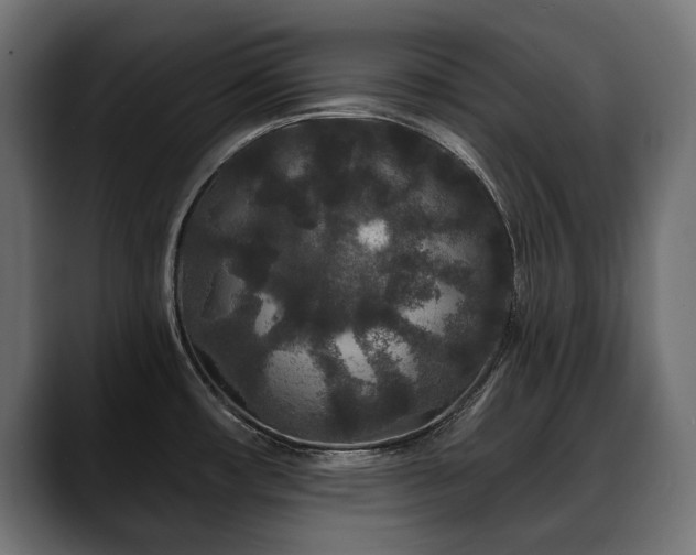 X0000088571482200705251107