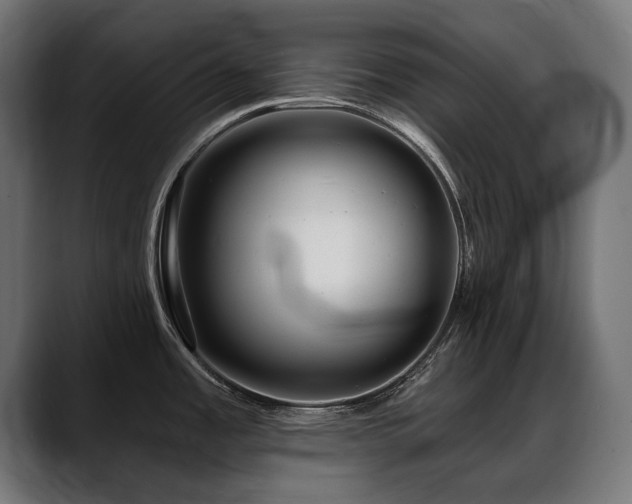 X0000088571485200705251107