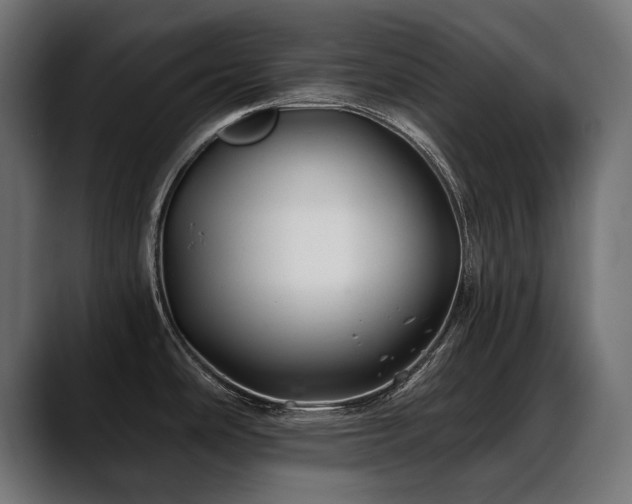 X0000088571486200705251107