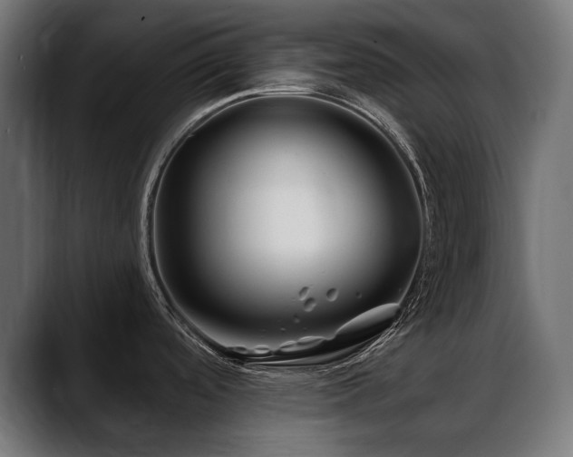 X0000088571488200705251107