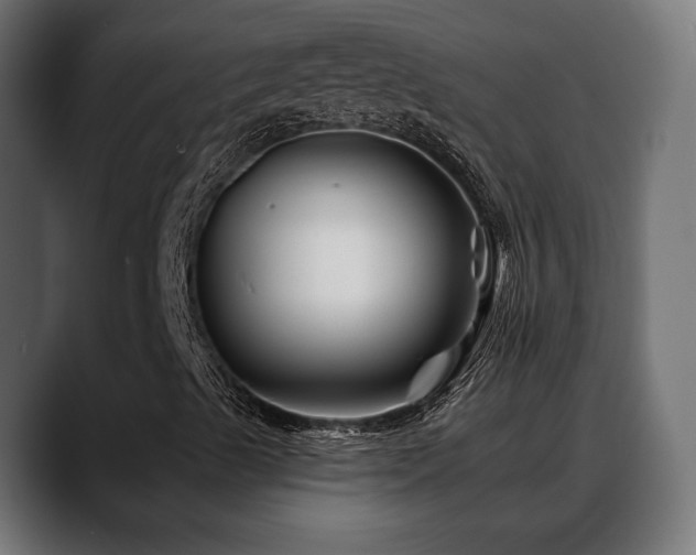X0000088571489200705251107