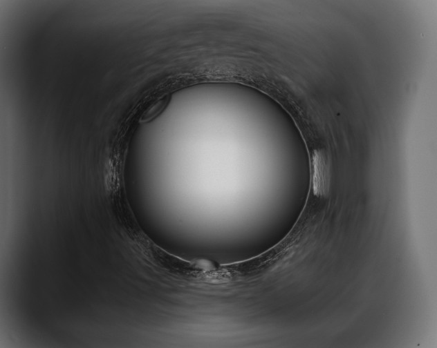 X0000088571491200705251107