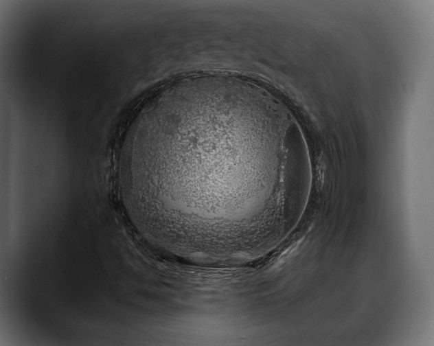 X0000088571494200705251107