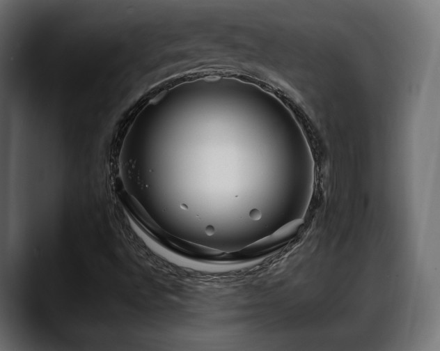 X0000088571496200705251107
