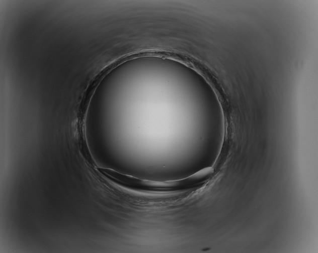 X0000088571497200705251107