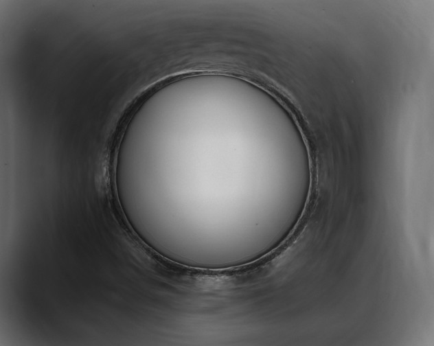 X0000088571498200705251107