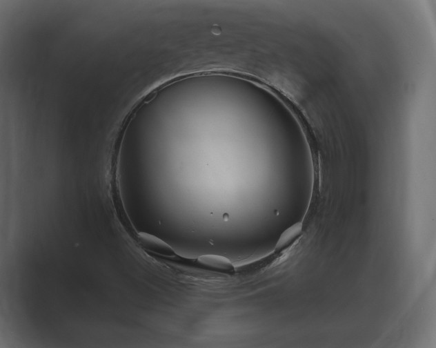 X0000088571500200705251107