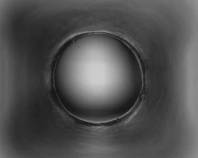 X0000088571502200705251107