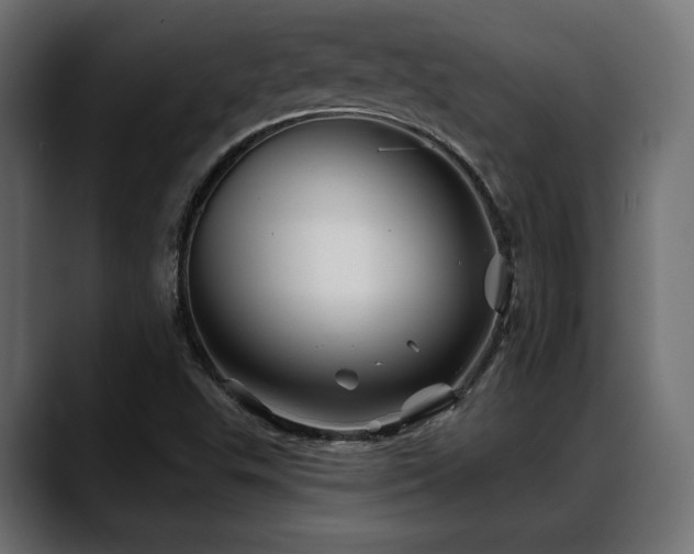 X0000088571503200705251107