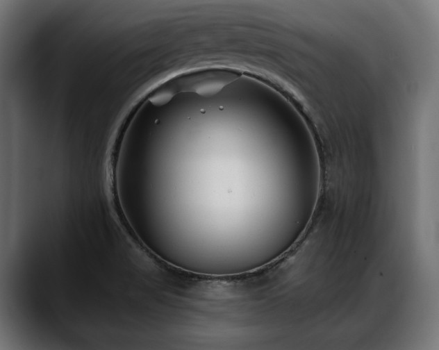 X0000088571517200705251107