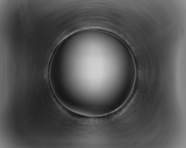 X0000088571521200705251107