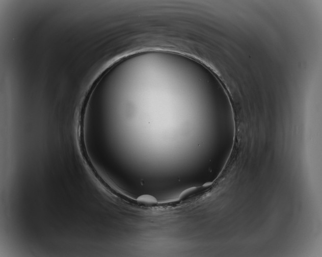 X0000088571523200705251107