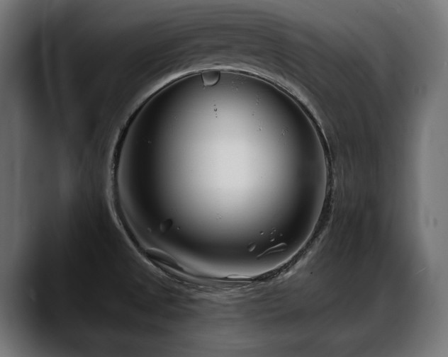 X0000088571525200705251107