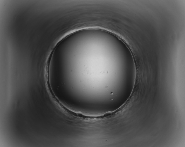 X0000088571526200705251107