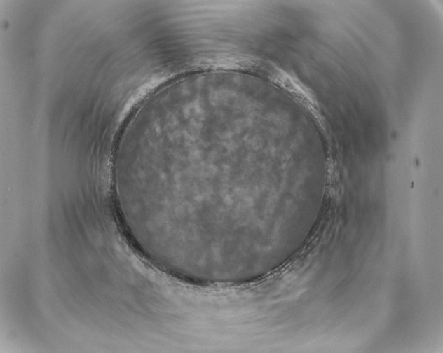 X0000088570012200706011059
