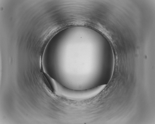 X0000088570013200706011059