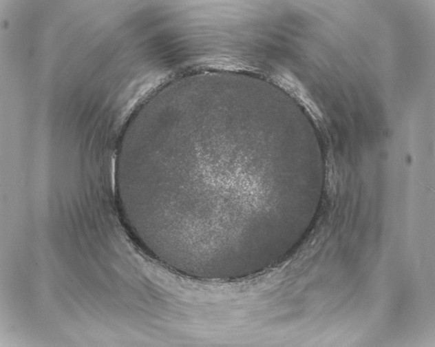 X0000088570014200706011059