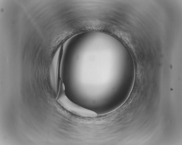 X0000088570017200706011059