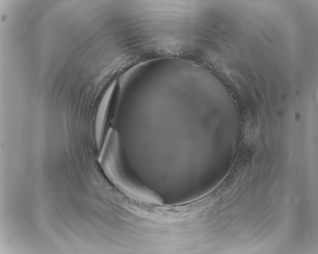 X0000088570027200706011059