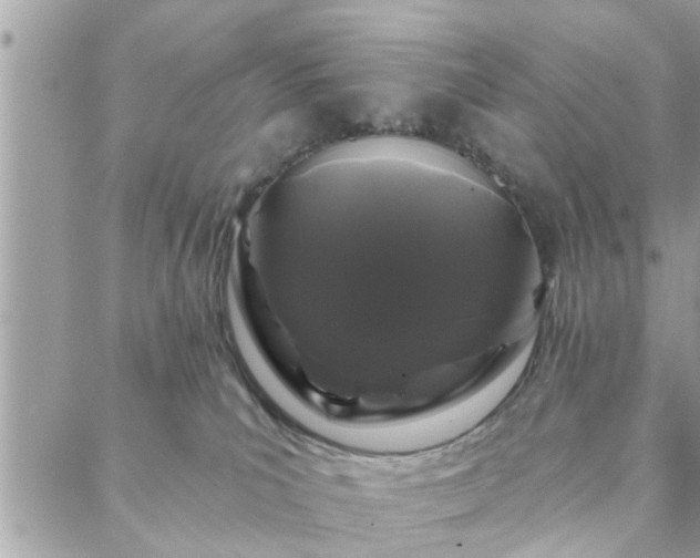 X0000088570039200706011059