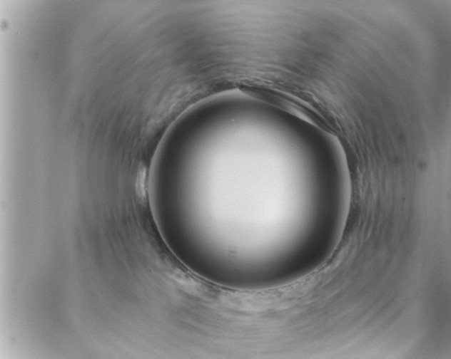 X0000088570041200706011059