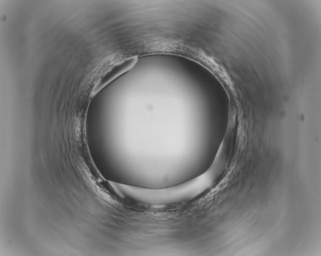 X0000088570057200706011058