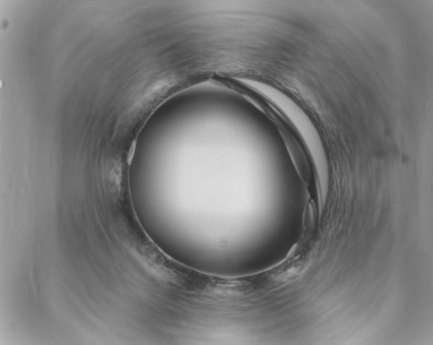 X0000088570072200706011058