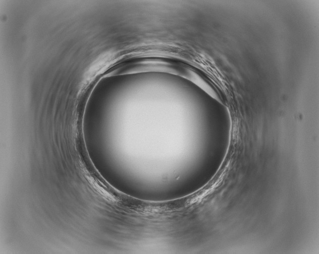 X0000088570101200706011058