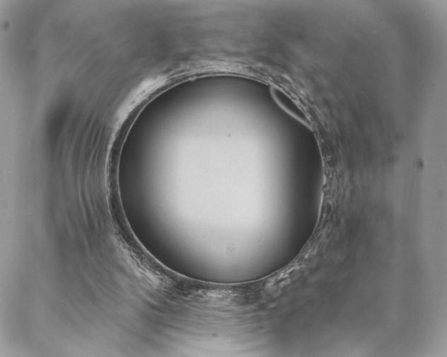 X0000088570104200706011058