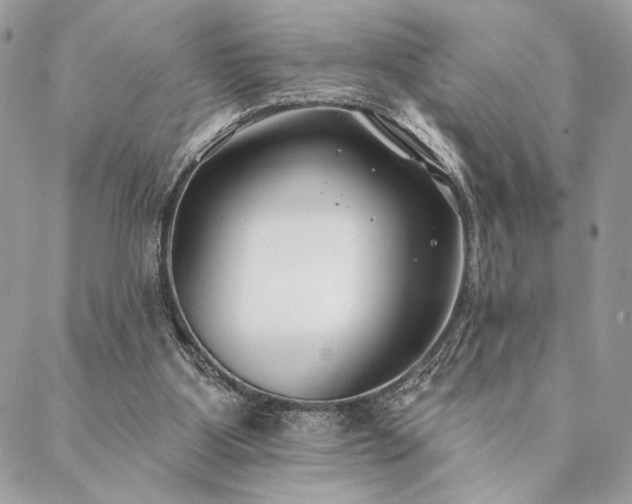 X0000088570107200706011058