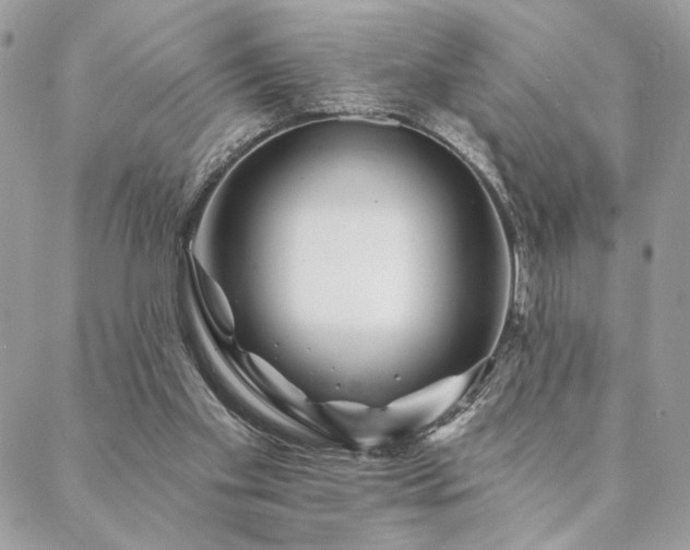 X0000088570109200706011057