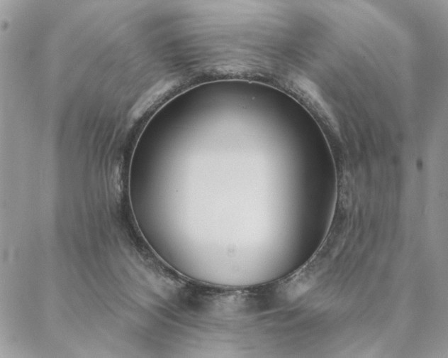 X0000088570116200706011057
