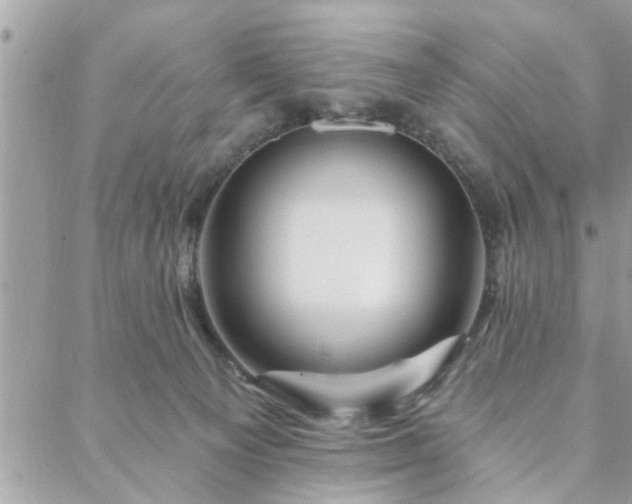 X0000088570129200706011057