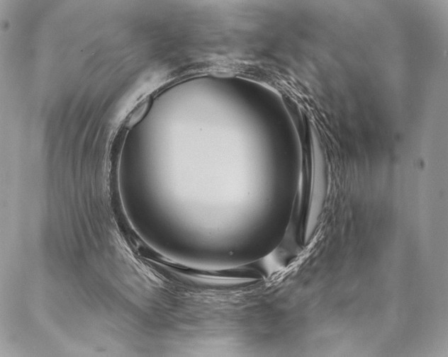 X0000088570150200706011056