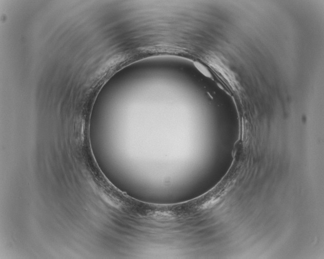 X0000088570157200706011056