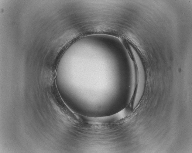 X0000088570164200706011056