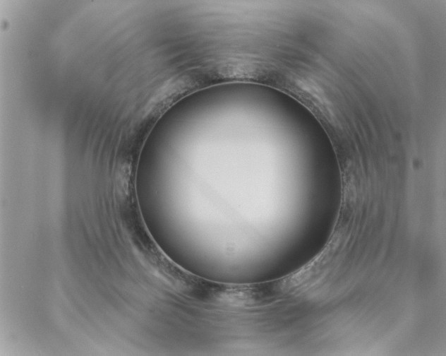 X0000088570171200706011057