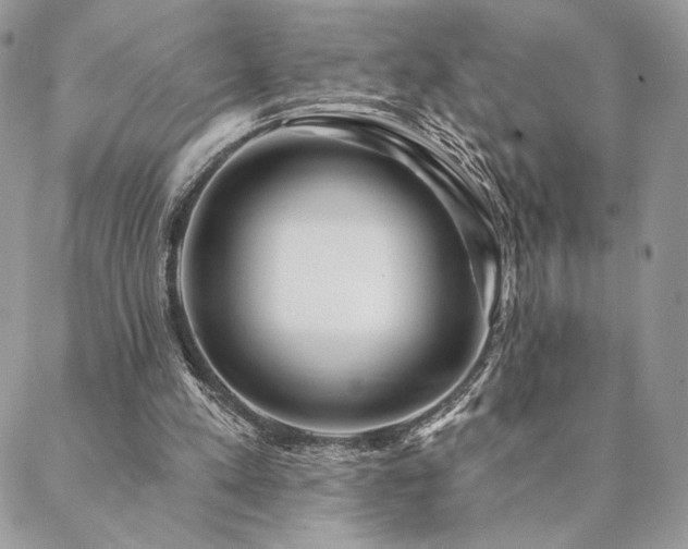 X0000088570197200706011056