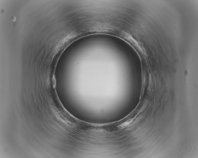 X0000088570203200706011056