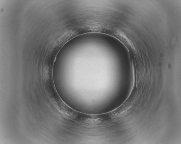 X0000088570213200706011056