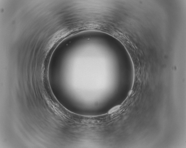 X0000088570242200706011055