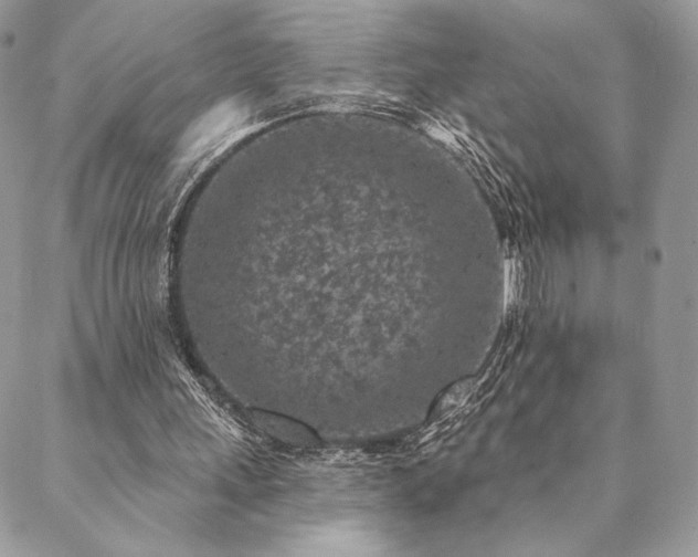 X0000088570243200706011055