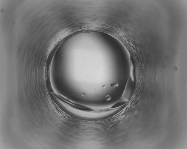 X0000088570244200706011055