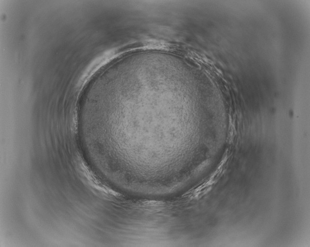 X0000088570247200706011055