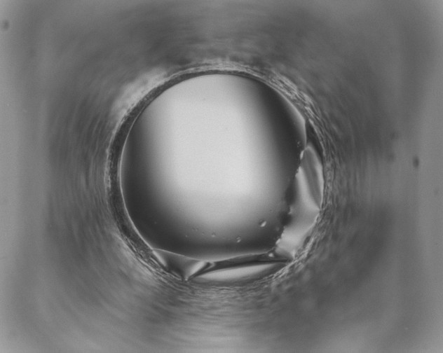X0000088570248200706011055