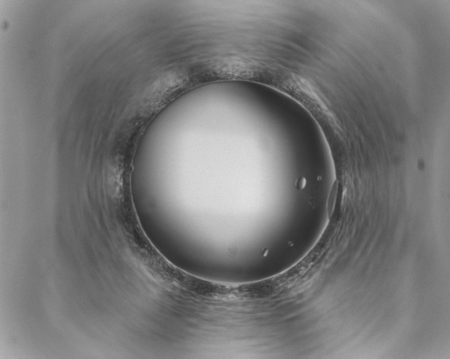 X0000088570259200706011055