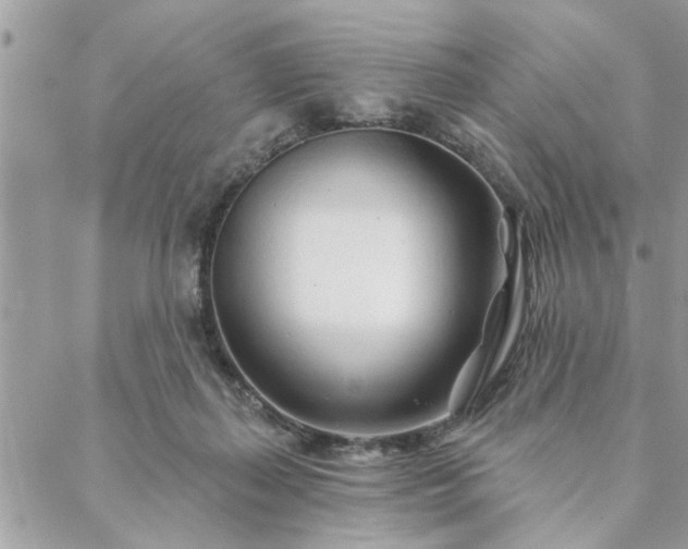 X0000088570267200706011055