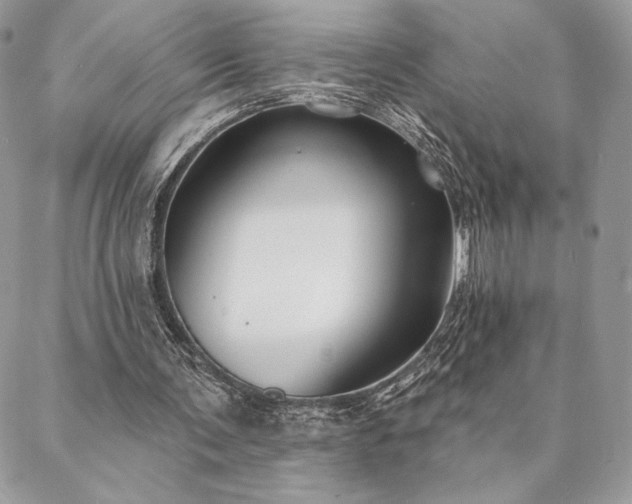 X0000088570291200706011055