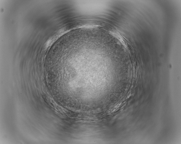 X0000088570337200706011053