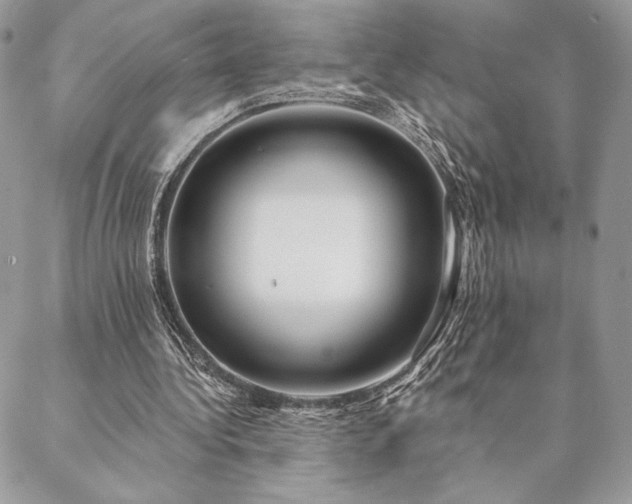X0000088570340200706011053